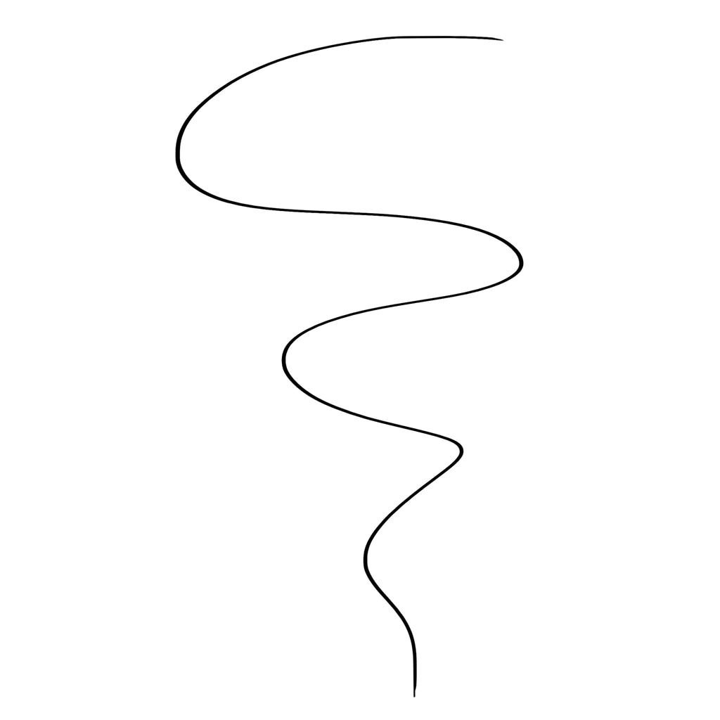 TRUE FICTION SIMPLY BLACK LIQUID LINER