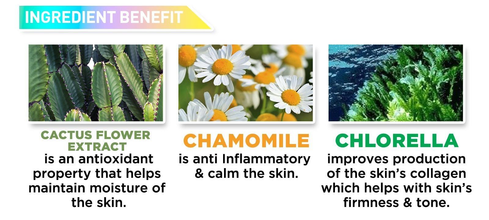 JCAT Aquasurance Compact Foundation